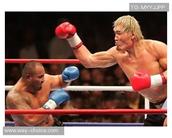 搏击传奇对决：鲍勃萨普与崔洪万的巅峰对抗之战